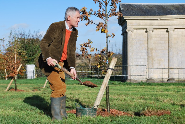 Halswell Enlish Heritage Kim Auston