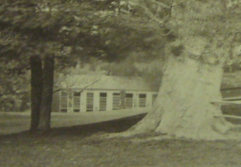 The Orangery, c. 1898