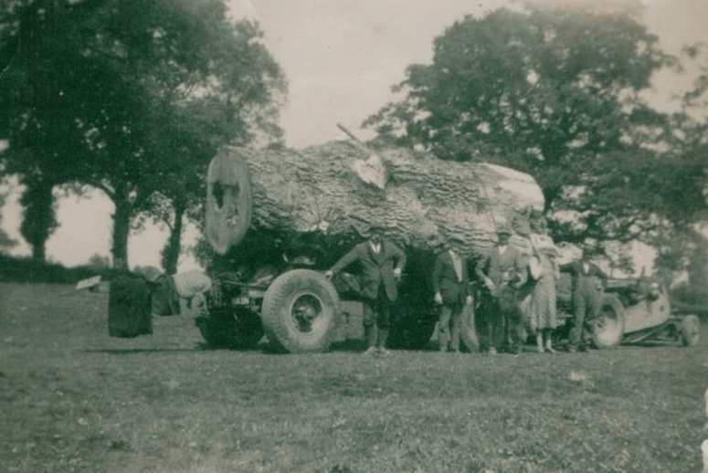 Halswell, Mill Wood c. 1950. 6,100 trees were clear felled from the estate, some were ancient chestnut and oak standing for over 300 years, many more were parkland and woodland walk specimens which had been nurtured since the mid-eighteenth century.