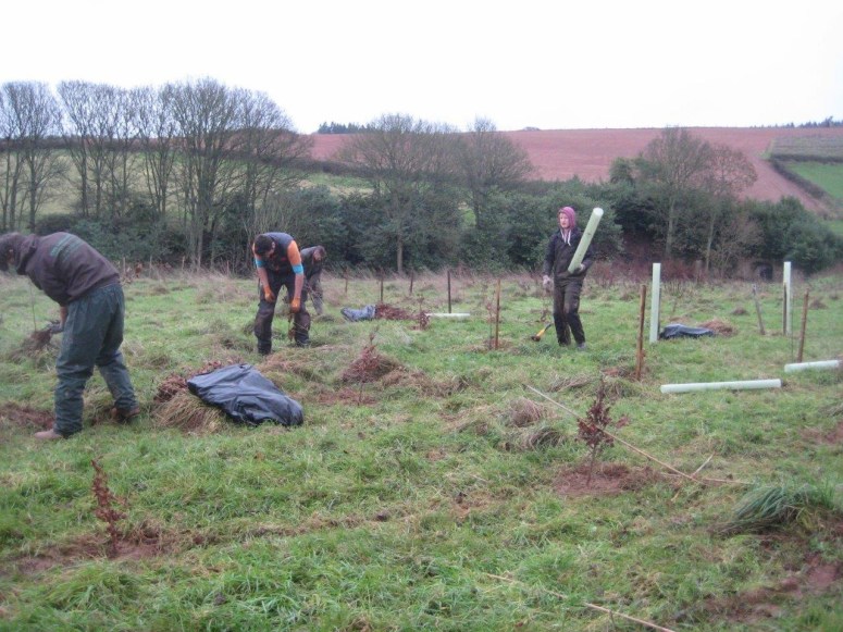 One by one the 4,423 trees are being planted, in addition to the few hundred that were recently planted for Edward Strachan’s 50th birthday.