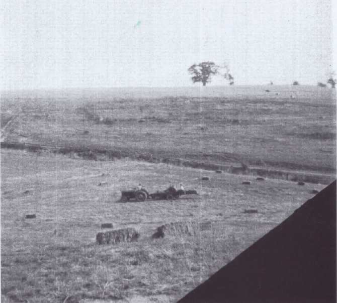 Mill Wood 1960. (Courtesy of Mrs. Gill Durman.)