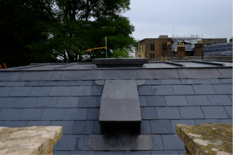 The Bat Hatches. (Courtesy of Architectural Thread)