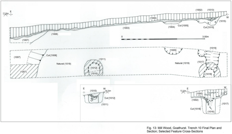 Diagram of the Druid’s Hut trench.