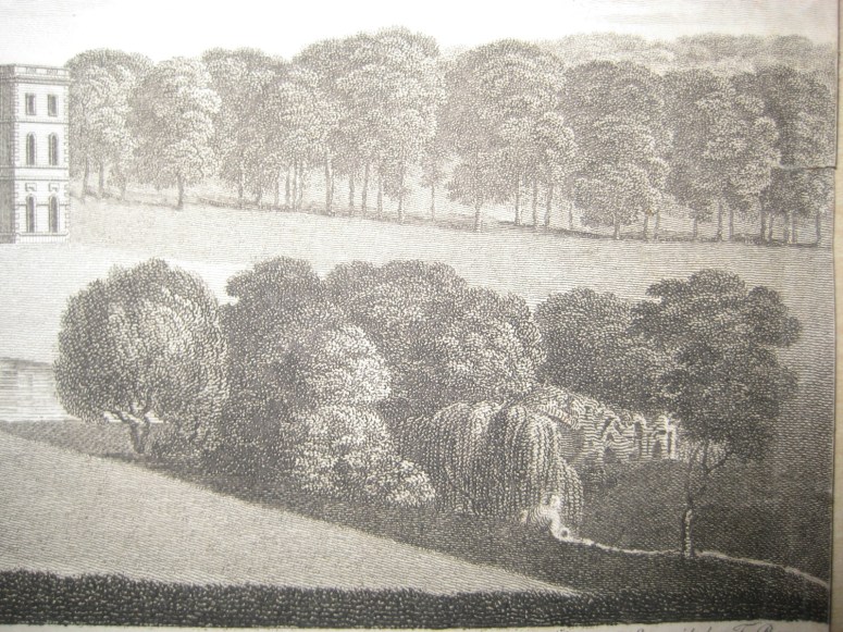 T. Bonner, etching published in Collinson's Somerset, 1781. Historic images of the Grotto at Halswell are very rare; this print provides the most detail. 